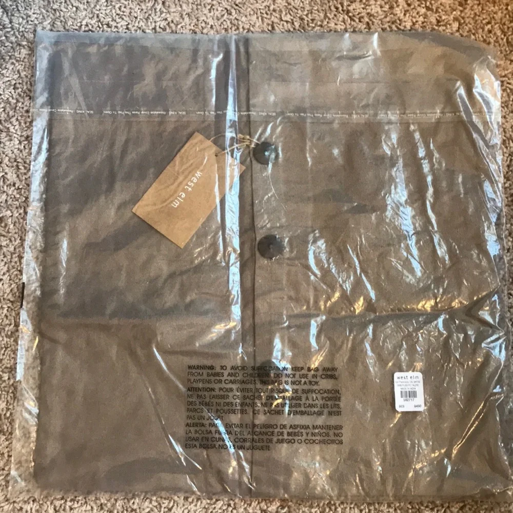 West Elm embroiled pillow cover 16x16